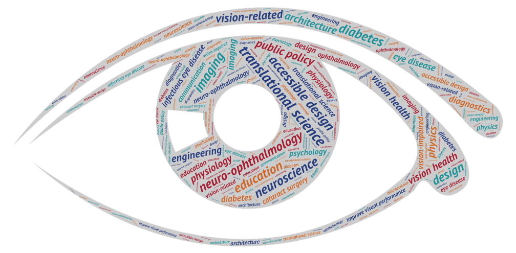 Drawing of an eye up close, with words related to vision written small in various colors in the shading.
