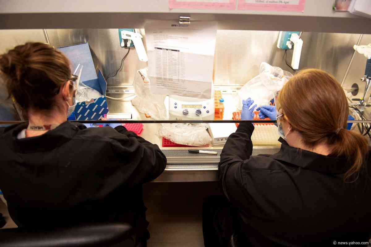 Kylene Karnuth, left, a clinical lab scientist, and Robyn Kincaid, technical specialist, work with coronavirus samples as part of a University of Minnesota trial to see whether hydroxychloroquine can prevent or reduce the severity of covid-19. (Craig Lassig/Reuters)