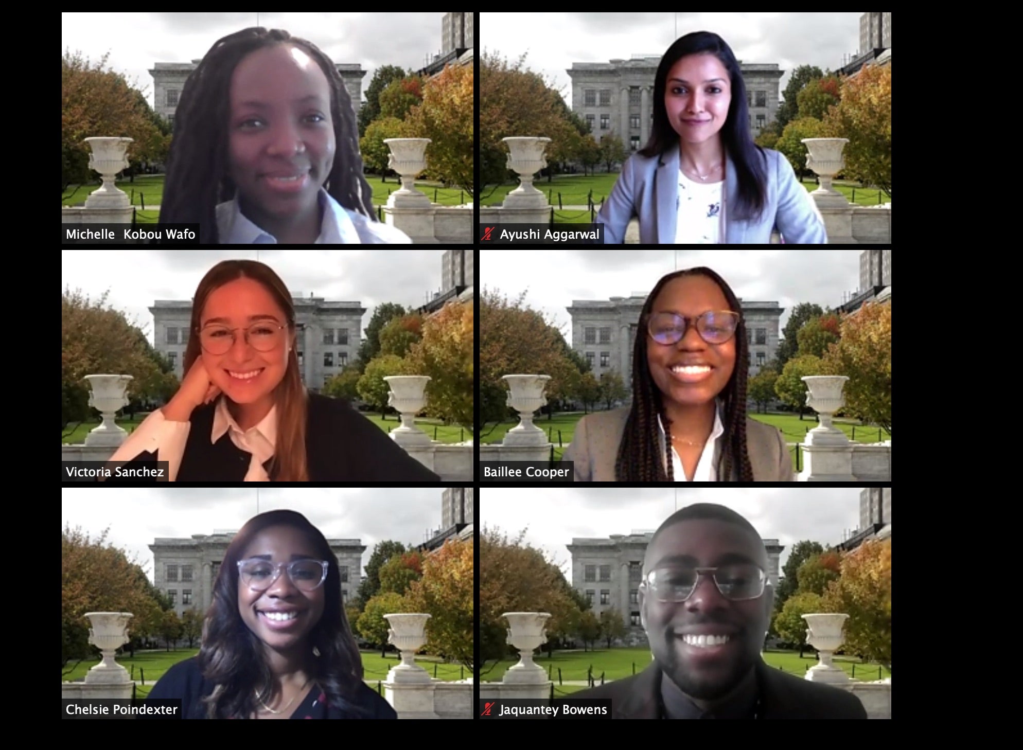 Zoom teleconferencing platform screenshot of 2020 VRIP interns at closing ceremony with Harvard Medical School backgrounds.