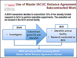 In this example, the researcher is outsourcing the animal work to another signatory institution with the appropriate expertise and facilities for the animal model. By utilizing the Master IACUC Agreement, one institution may choose to perform the IACUC review and provides oversight for the research, so that administrative burden for the researcher as well as the institution is reduced.
