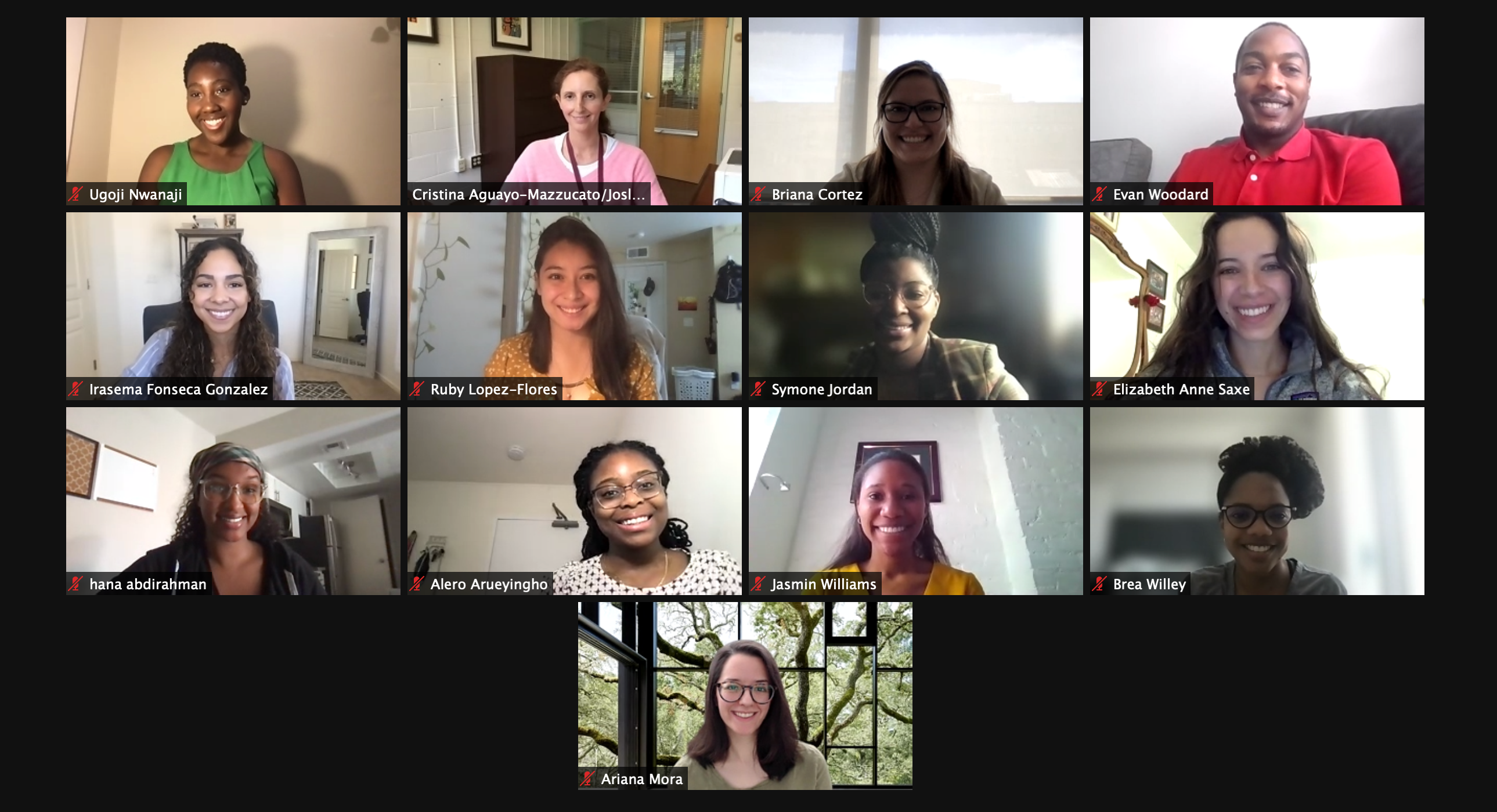 Screenshot of Zoom meeting with 2021 VRIP program students and Dr. Cristina Aguayo-Mazzucato.