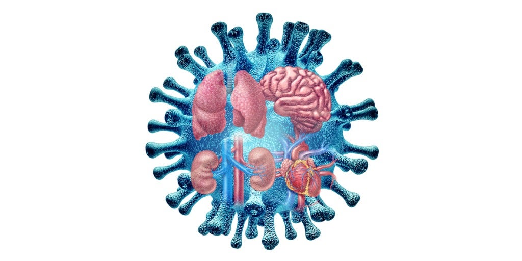 Virus showing organ Infection from long Covid. 3D illustration of the lungs heart kidneys and the brain inside the virus.