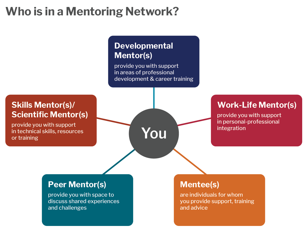 Who is in a mentoring network? You in the middle are connected to developmental mentors, skills mentor(s)/scientific mentor(s), Work-life mentor(s), Peer mentor(s), and Mentee(s). 
